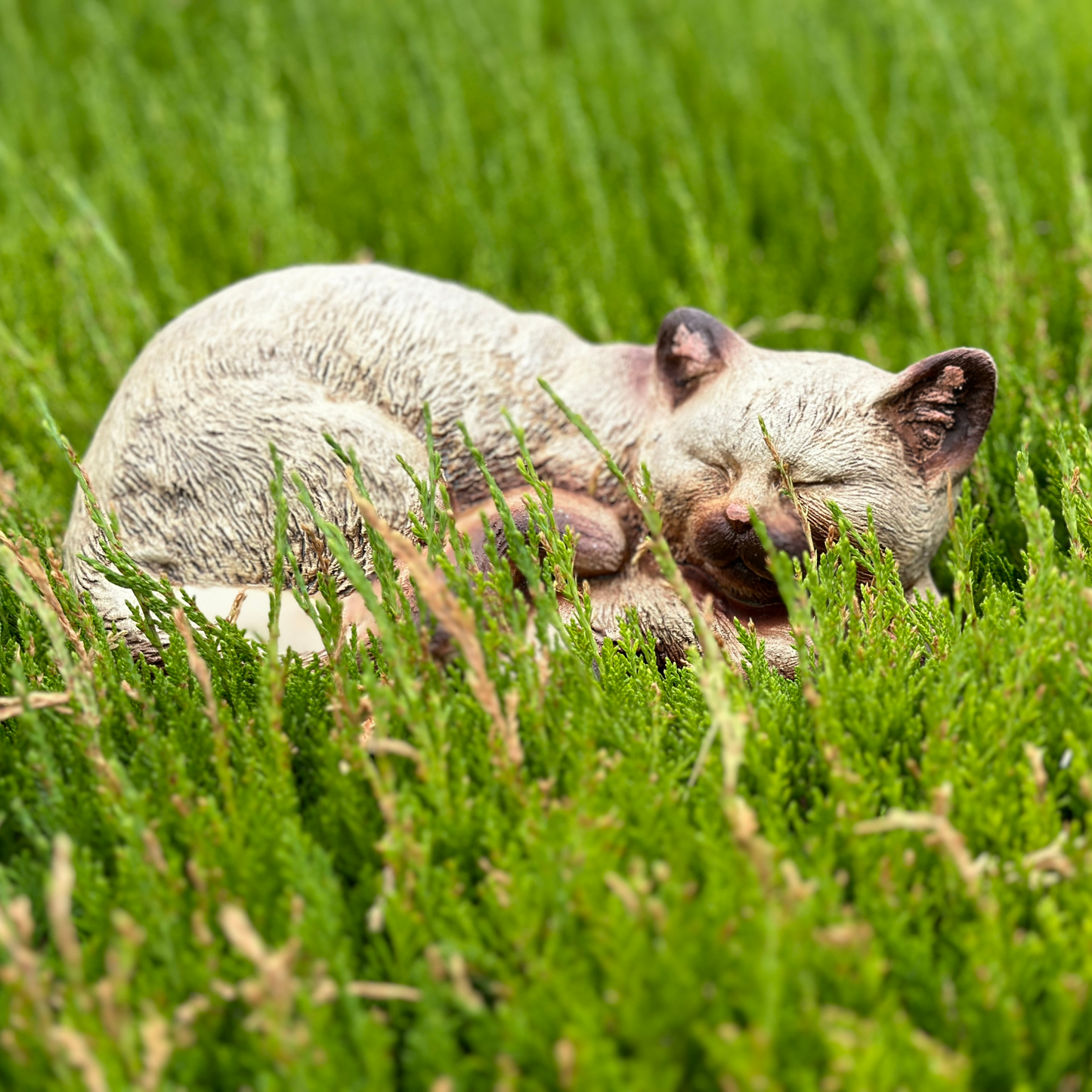 Gatto che dorme in terracotta dipinto a mano per arredo giardino e decorazione casa