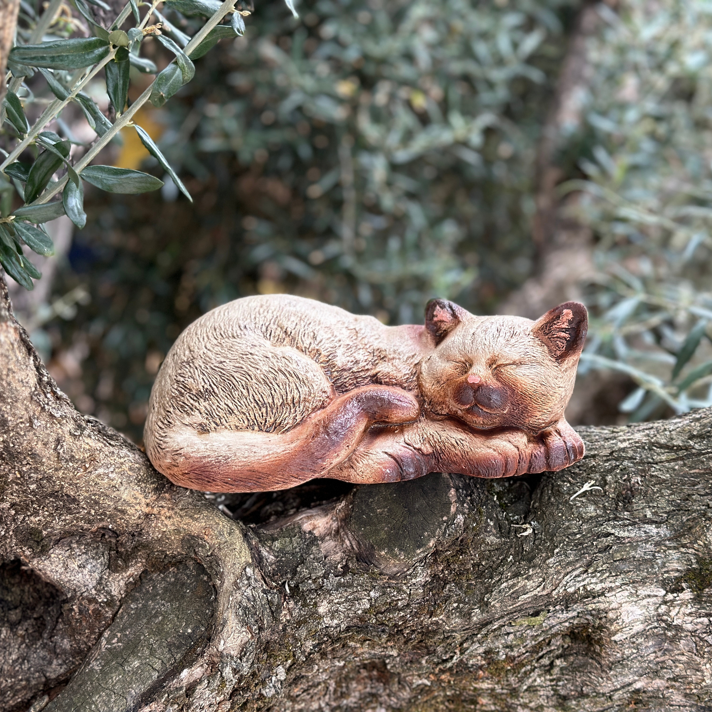 Gatto che dorme in terracotta dipinto a mano per arredo giardino e decorazione casa