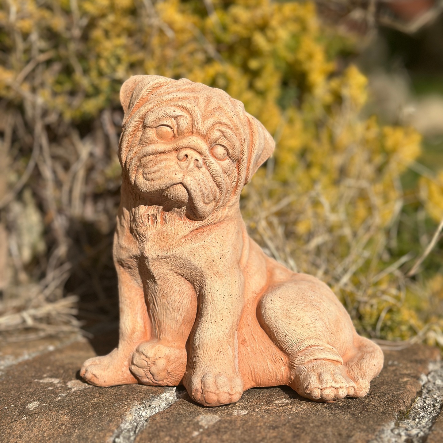 Toocook Cane Bulldog in terracotta artigianale per arredo giardino decorazione unica resistente alle intemperie