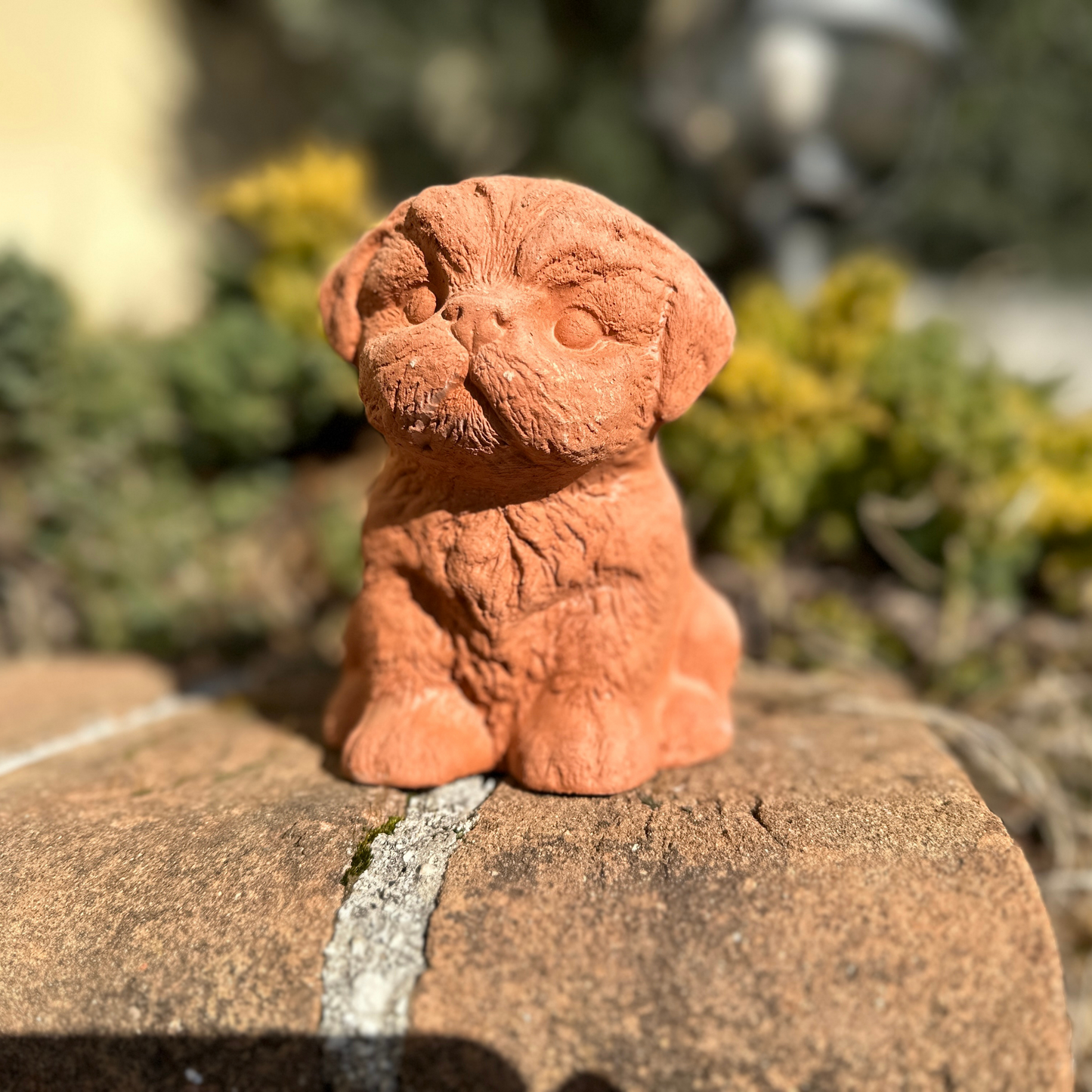 Cane Barboncino in terracotta artigianale per arredo giardino decorazione unica resistente alle intemperie