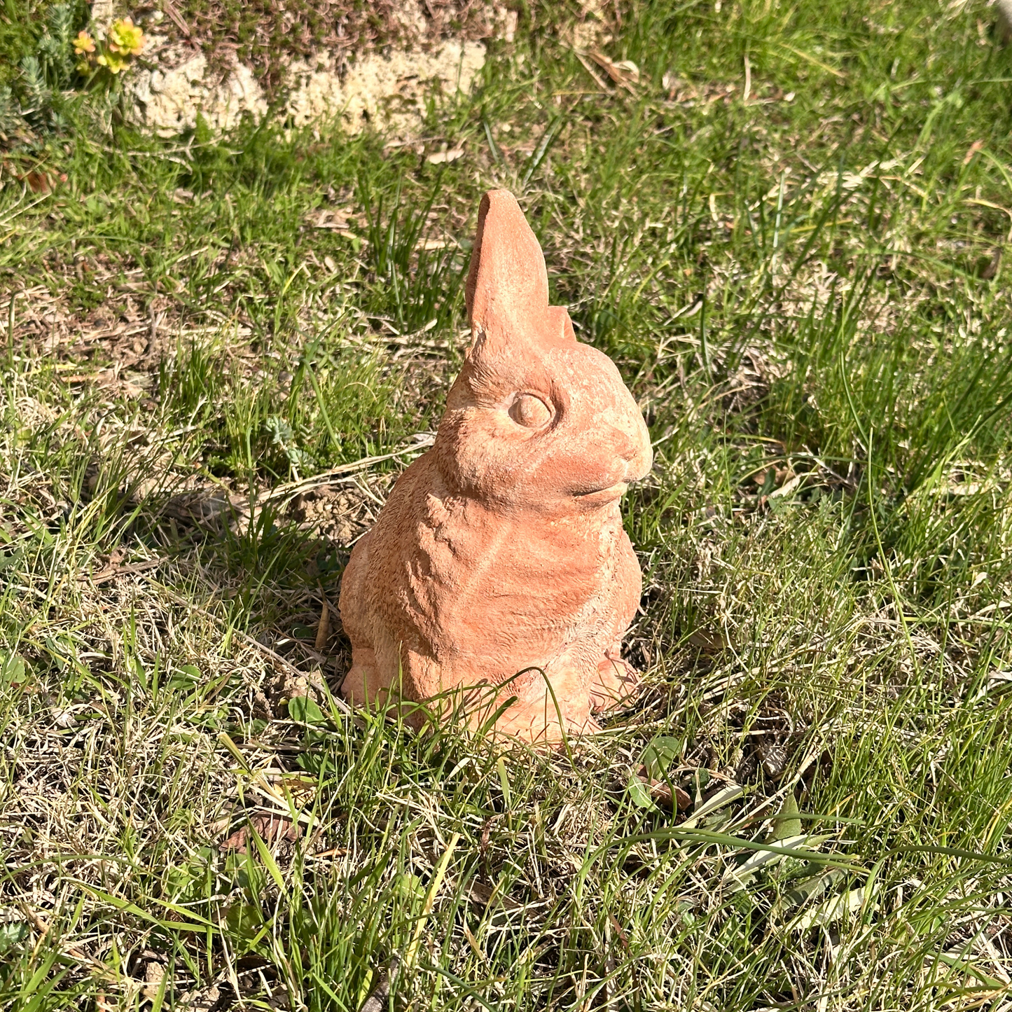 Toocook Coniglio in terracotta artigianale per arredo giardino decorazione unica resistente alle intemperie