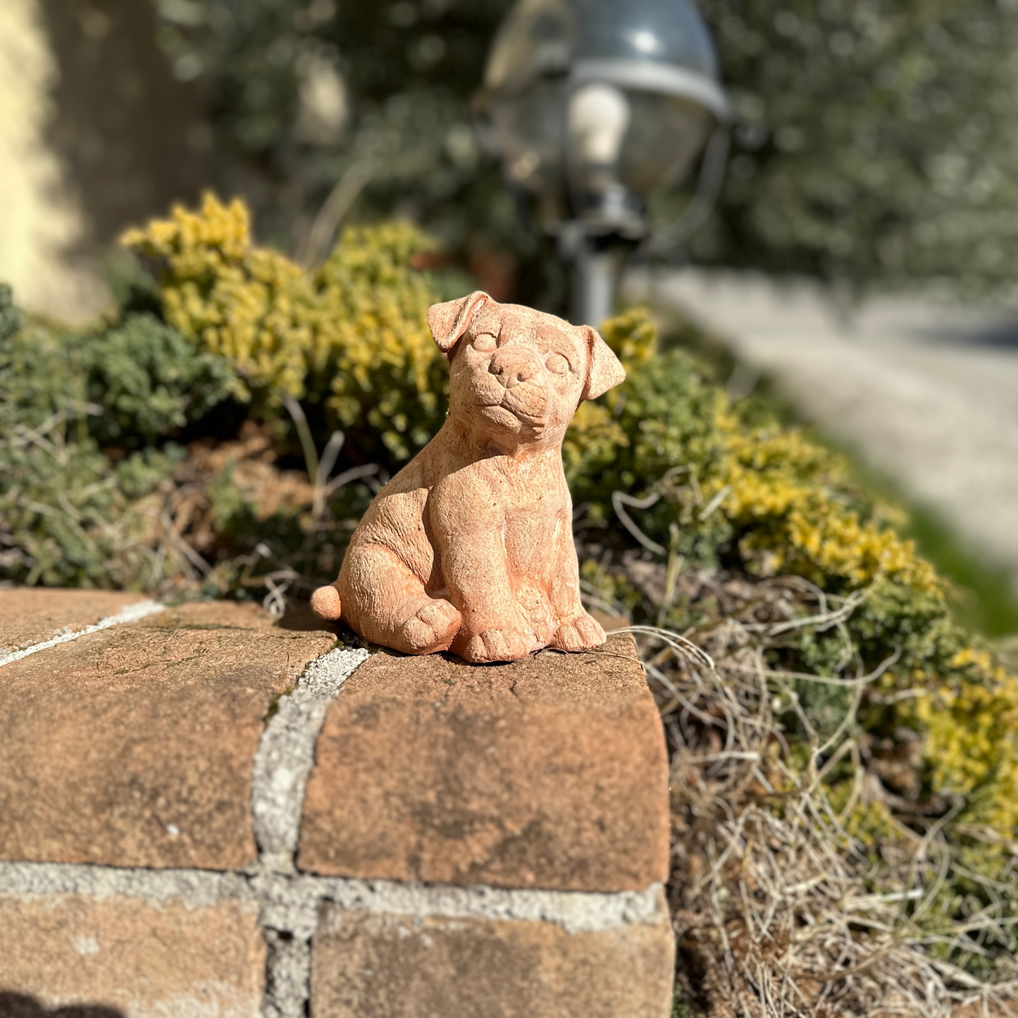 Jack Russell dog in handcrafted terracotta for garden furniture, unique weatherproof decoration