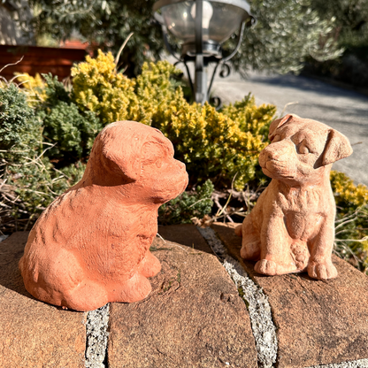 Cane Barboncino in terracotta artigianale per arredo giardino decorazione unica resistente alle intemperie