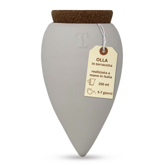 Toocook Olla in Terracotta Artigianale Bianca naturale per irrigazione Automatica Ecologica e Naturale per Piante da Interno ed Esterno con autonomia di Circa 7 Giorni - Realizzata a Mano - 250 ml