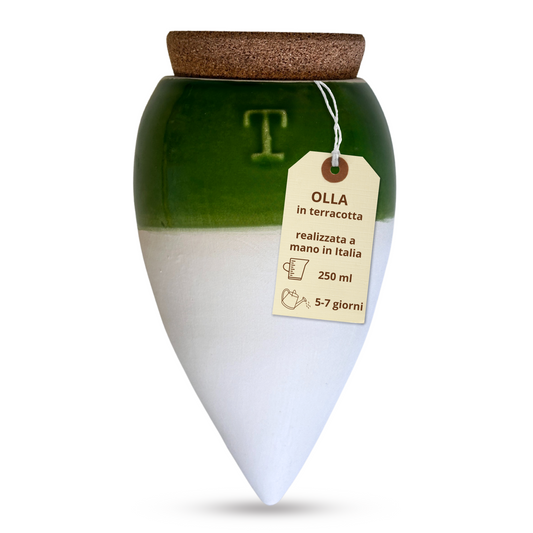 Toocook Olla in Terracotta Artigianale Bianca/Verde per irrigazione Automatica Ecologica e Naturale per Piante da Interno ed Esterno con autonomia di Circa 7 Giorni - Realizzata a Mano - 250 ml