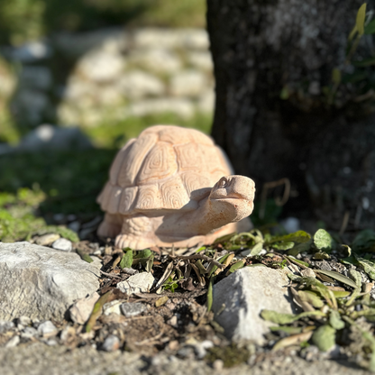 Tartaruga in terracotta artigianale per arredo giardino decorazione unica resistente alle intemperie