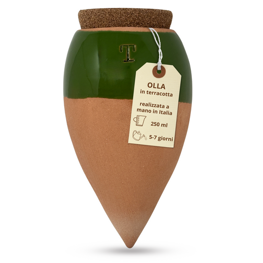 Toocook Olla in Terracotta Artigianale Smaltata Verde per irrigazione Automatica Ecologica e Naturale per Piante da Interno ed Esterno con autonomia di Circa 7 Giorni - Realizzata a Mano - 250 ml