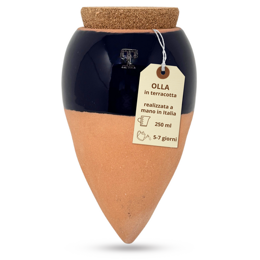 Toocook Olla in Terracotta Artigianale Smaltata Blu per irrigazione Automatica Ecologica e Naturale per Piante da Interno ed Esterno con autonomia di Circa 7 Giorni - Realizzata a Mano - 250 ml