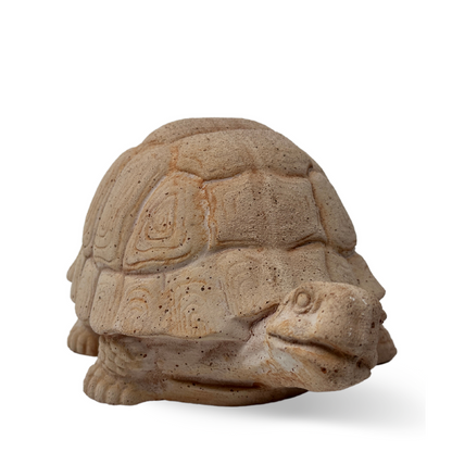 Tartaruga in terracotta artigianale per arredo giardino decorazione unica resistente alle intemperie